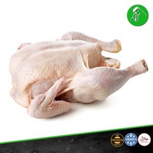 Qualiko Frozen Whole Chicken Meatonclick