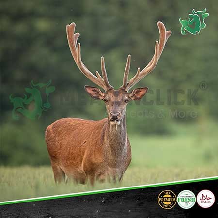 deer meat meatonclick